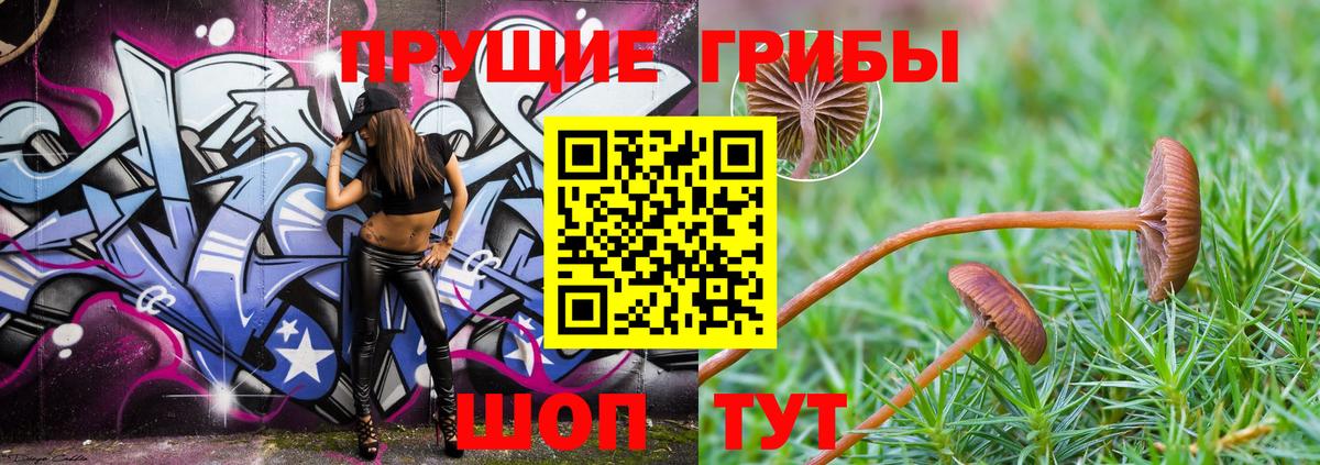 Татарск  Галлюциногенные грибы ЛСД  Вход с VPN 