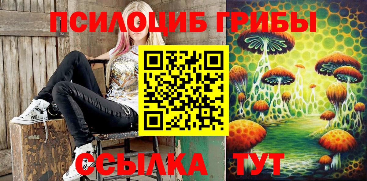 Галлюциногенные грибы GOLDEN TEACHER Татарск